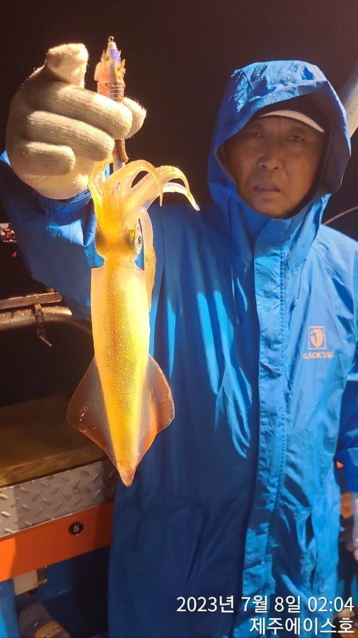 제주에이스호7월7일 한치조황입니다 (조황조행기 - 바다선상조황)