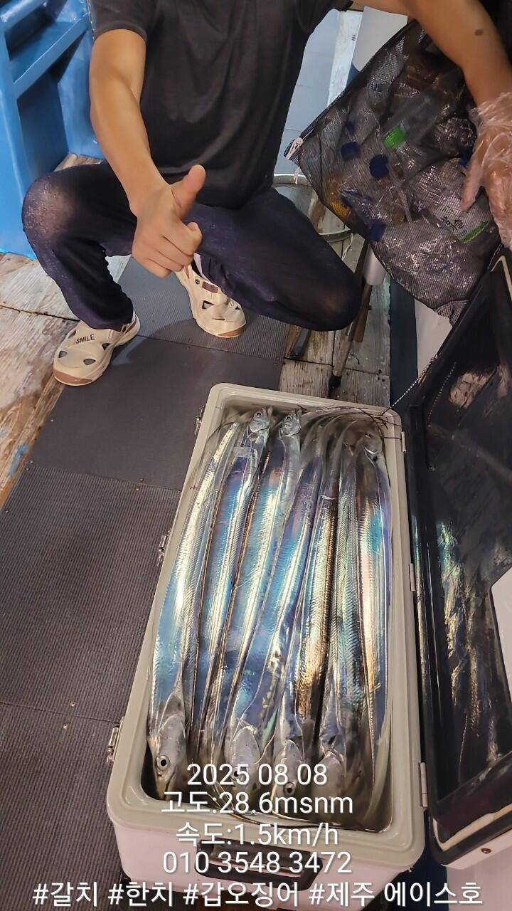제주에이스호8월7일북제주권갈치조황입니다010 35483472010 3860 3472977톤22인승14석운영 (조황조행기 - 바다선상조황)