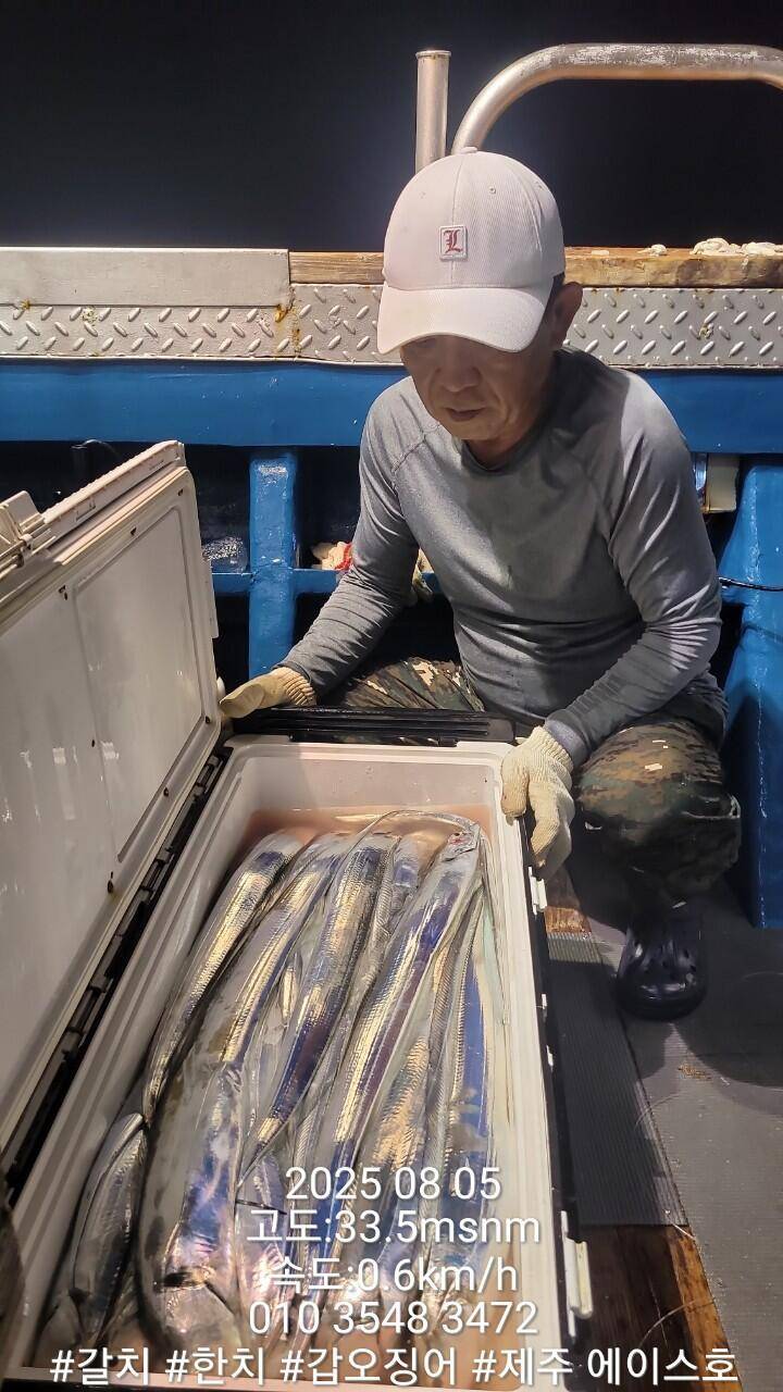 제주에이스호8월24일북제주권갈치조황입니다010 35483472010 3860 3472977톤22인승14석운영 (조황조행기 - 바다선상조황)