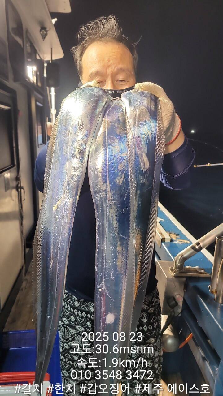 제주에이스호8월22일제주갈치조황입니다010 35483472010 3860 3472977톤22인승12석운전좌석봉돌투등기장착 청결은보장 (조황조행기 - 바다선상조황)