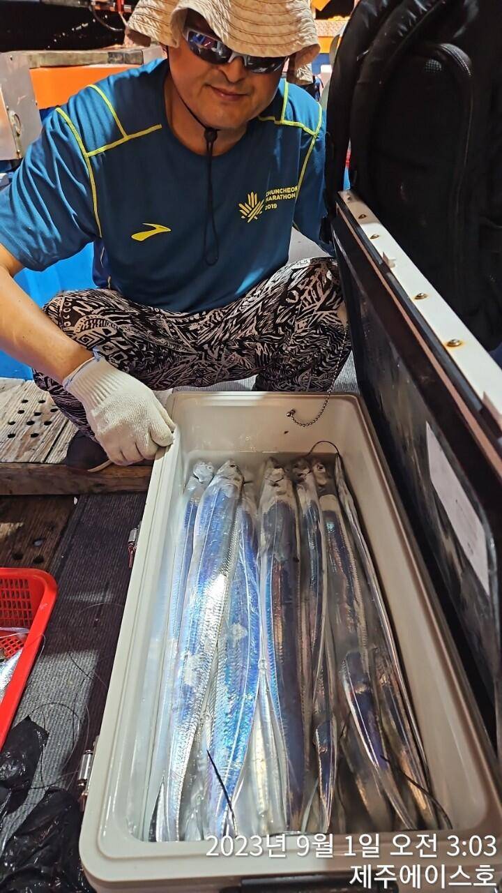 제주에이스호31일전원쿨러가득 갈치조황입니다문의0103548347201038603472 (조황조행기 - 바다선상조황)