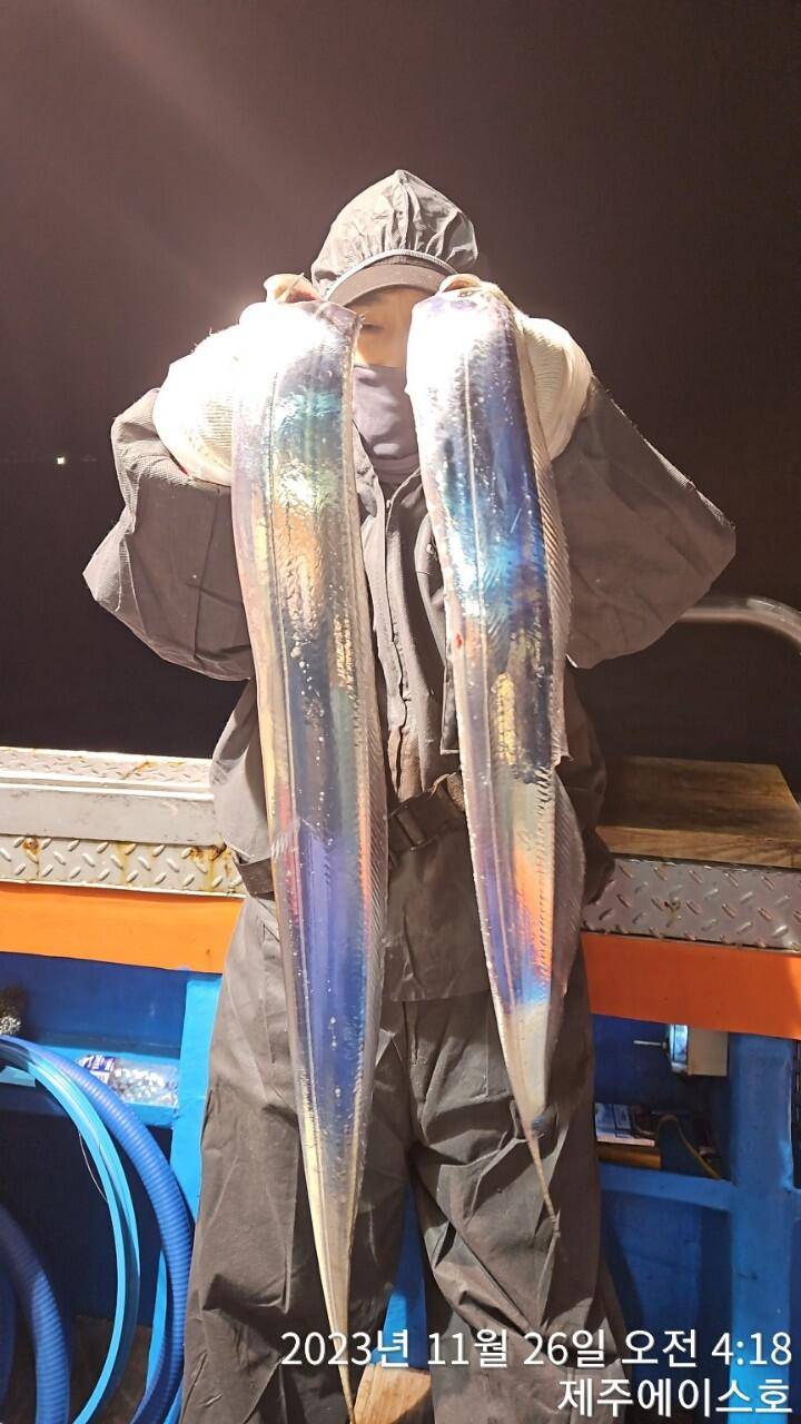 제주에이스호25일갈치조황입니다문의0103548347201038603472 전좌석봉돌투승기장착 (조황조행기 - 바다선상조황)