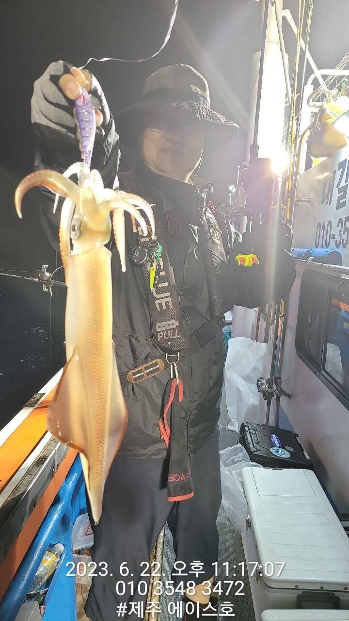 제주에이스호22일 굿 한치 조황입니다 (조황조행기 - 바다선상조황)