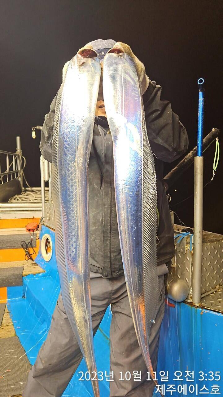 제주에이스호10일갈치조황입니다문의0103548347201038603472 (조황조행기 - 바다선상조황)