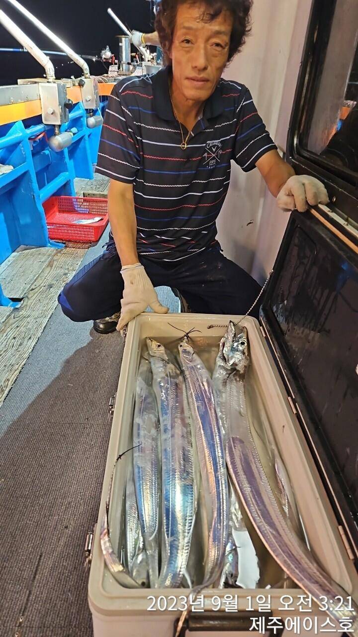 제주에이스호31일전원쿨러가득 갈치조황입니다문의0103548347201038603472 (조황조행기 - 바다선상조황)
