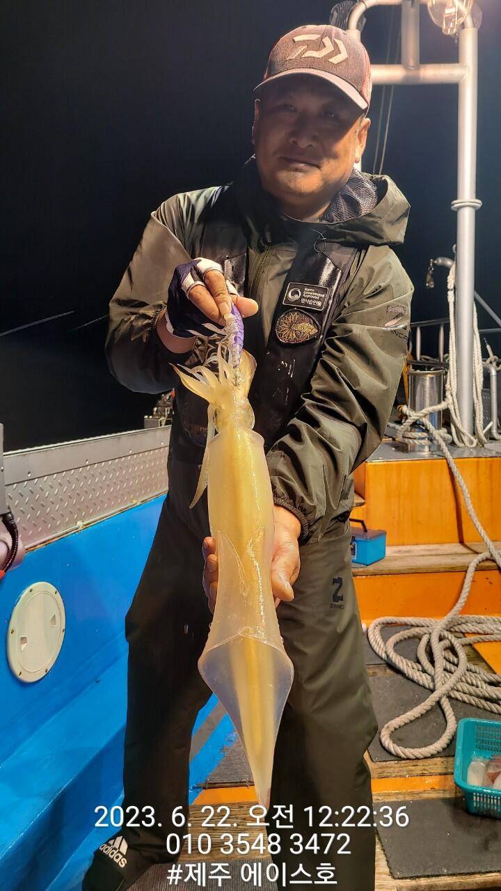제주에이스호21일 한치 한치 조황입니다 (조황조행기 - 바다선상조황)
