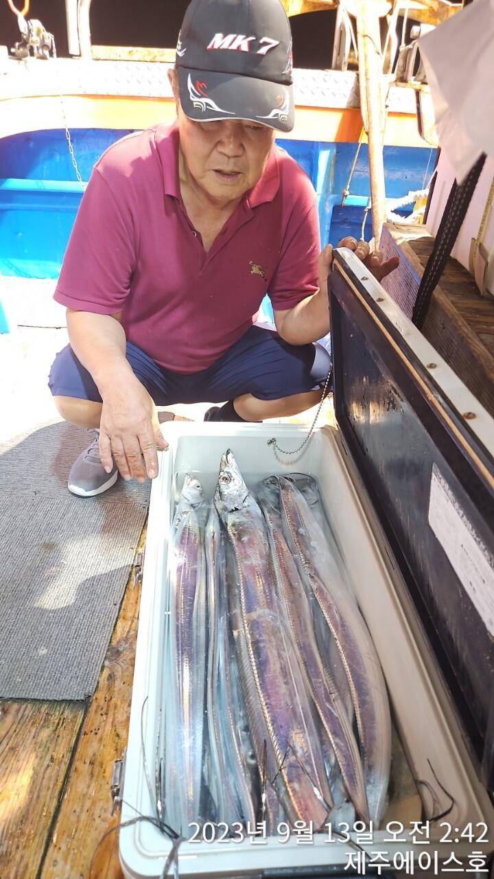 제주에이스호12일씨알굵은갈치조황입니다문의0103548347201038603472전좌석 자동봉돌투승기장착22인승 1… (조황조행기 - 바다선상조황)