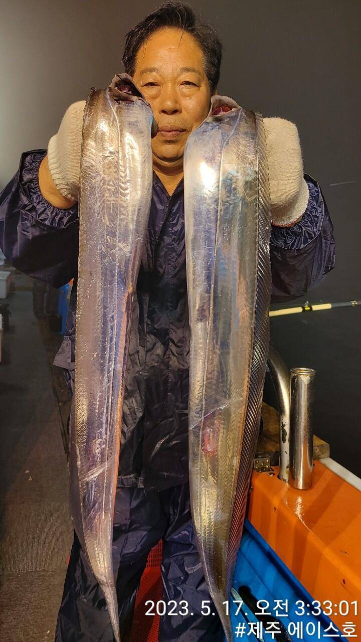 제주에이스호16일대갈치 조황입니다문의0103548347201038603472 (조황조행기 - 바다선상조황)