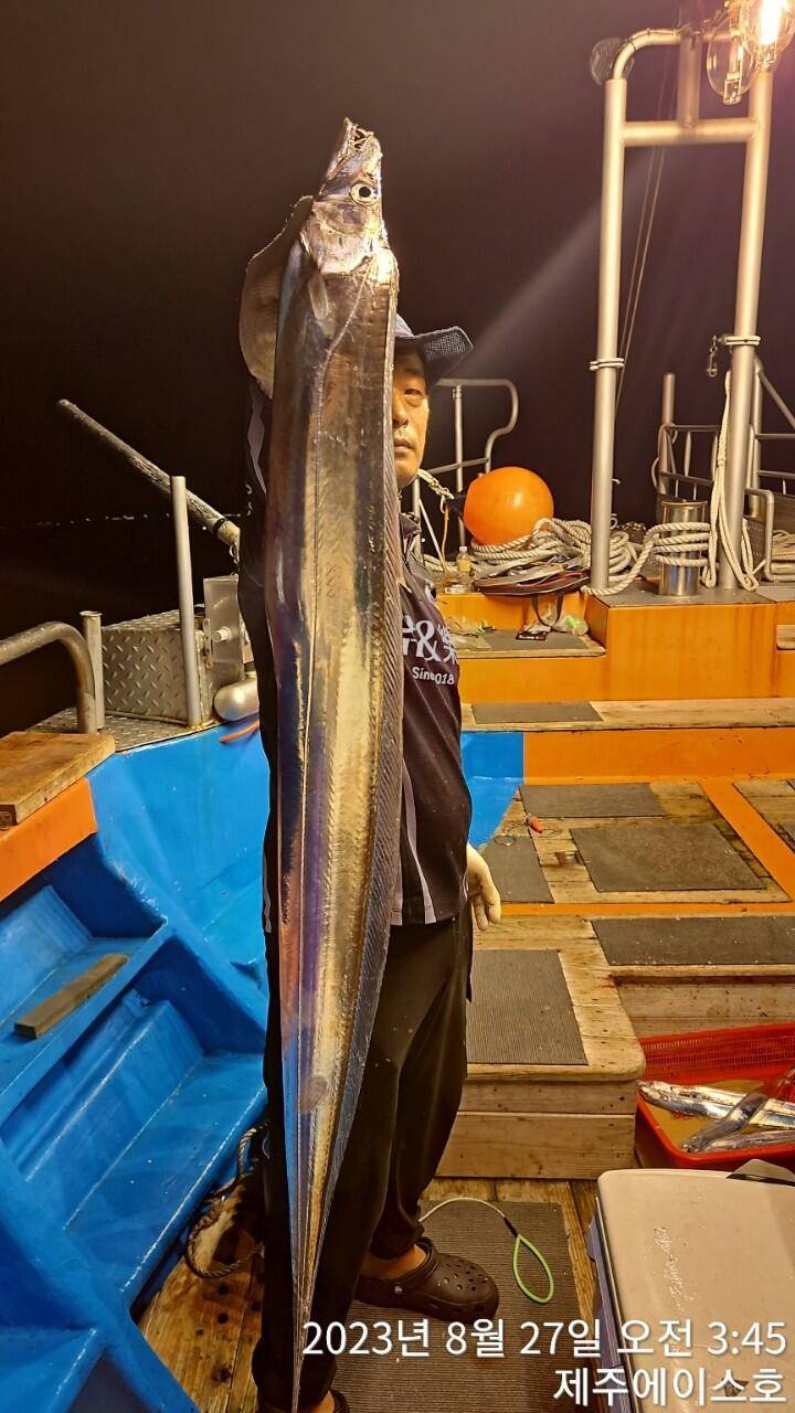 제주에이스호26갈치조황입니다문의0103548347201038603472 (조황조행기 - 바다선상조황)