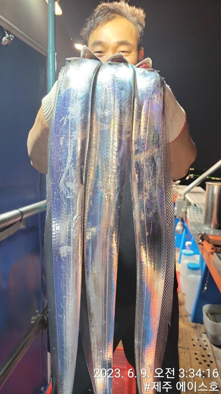 제주에이스호8일대갈치 조황입니다전좌석봉돌투승기 작착무료이용 (조황조행기 - 바다선상조황)
