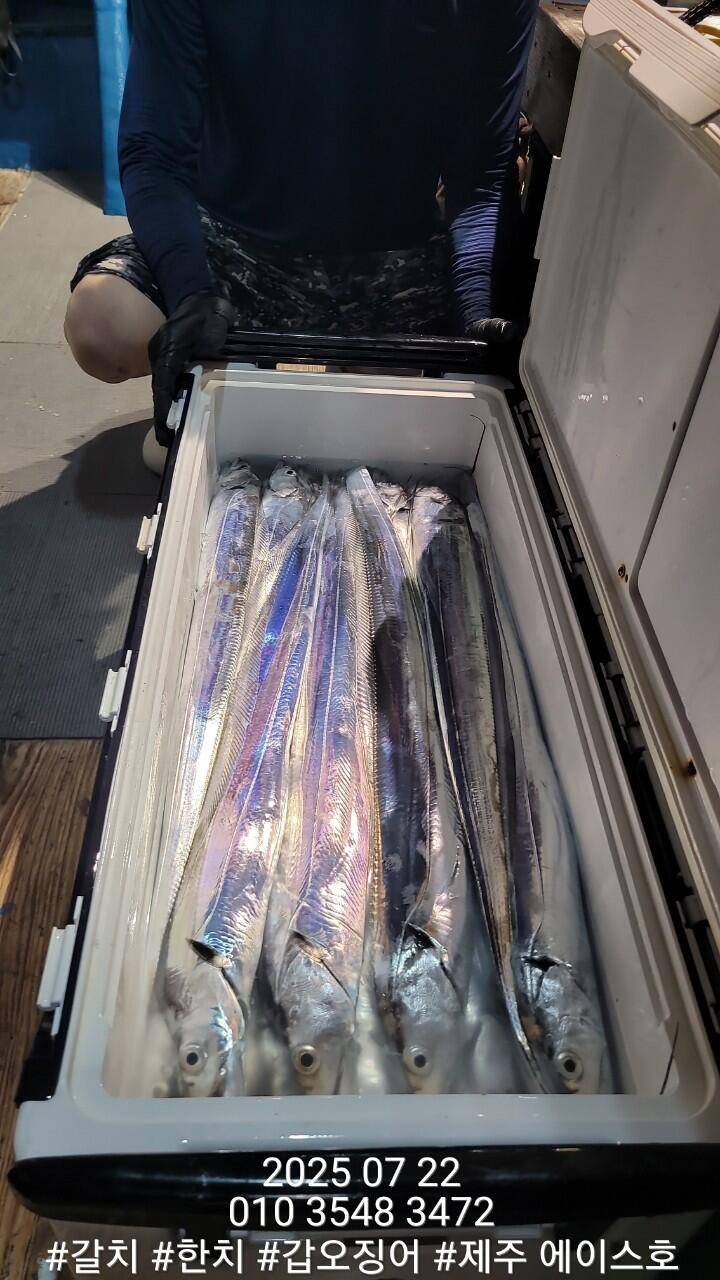 제주에이스호7월2122일북제주권갈치조업조황입니다010 35483472010 3860 3472977톤22인승14석운영 (조황조행기 - 바다선상조황)
