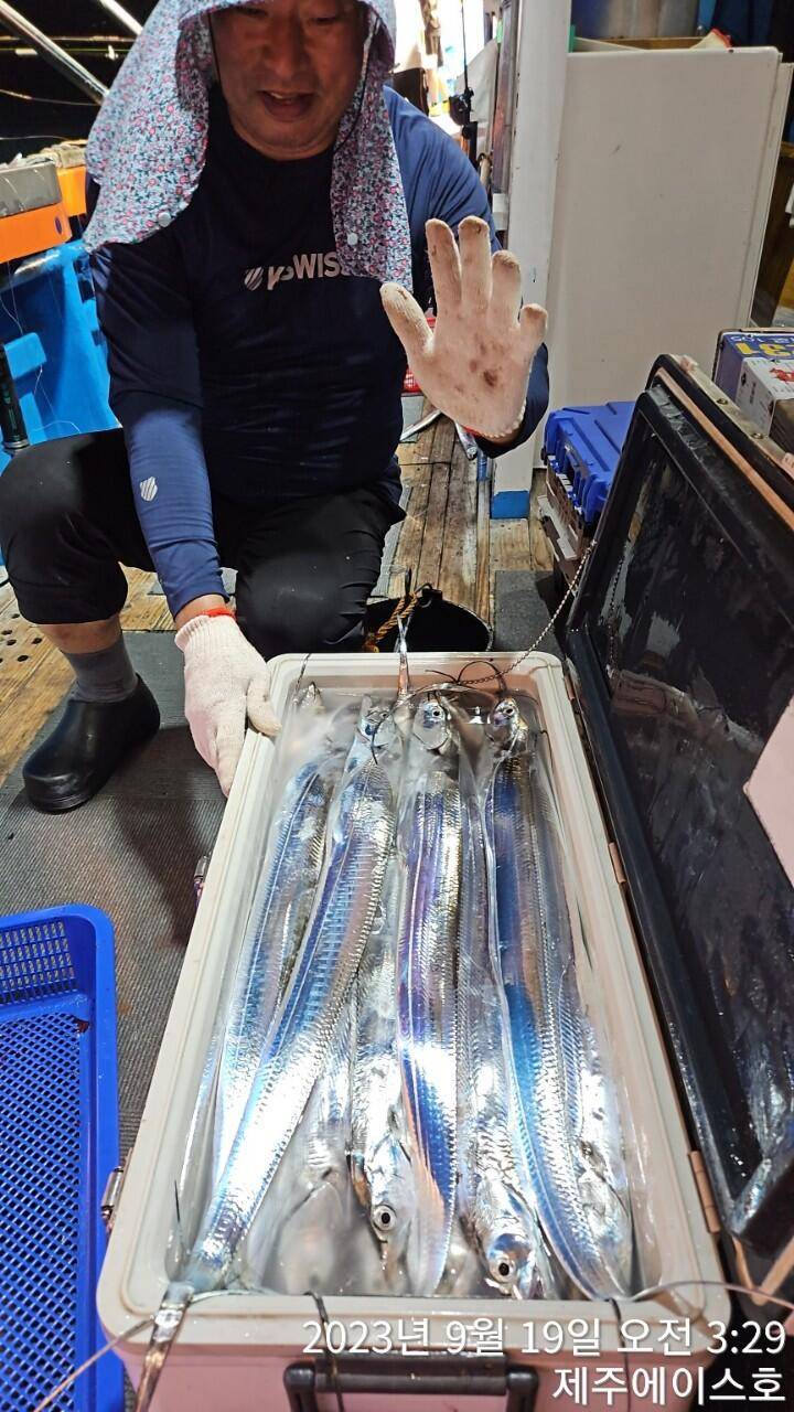 제주에이스호18일오늘도쿨러가득갈치조황입니다 문의0103548347201038603472 (조황조행기 - 바다선상조황)