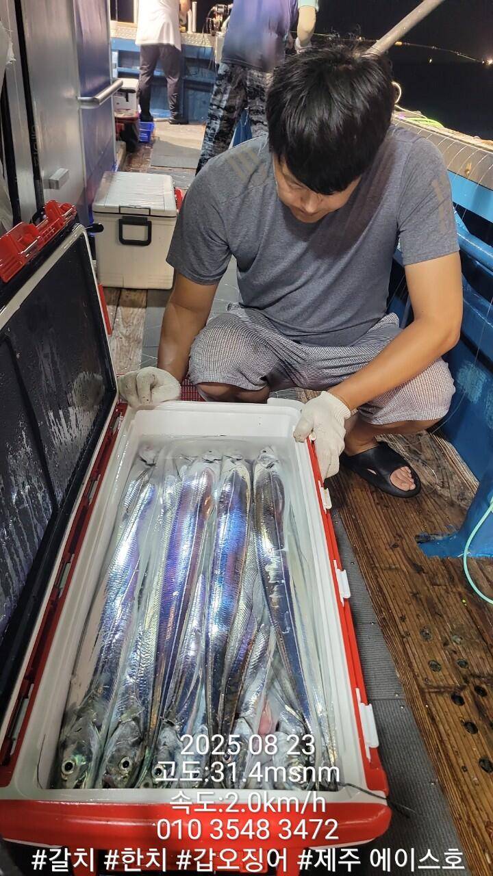 제주에이스호8월22일제주갈치조황입니다010 35483472010 3860 3472977톤22인승12석운전좌석봉돌투등기장착 청결은보장 (조황조행기 - 바다선상조황)