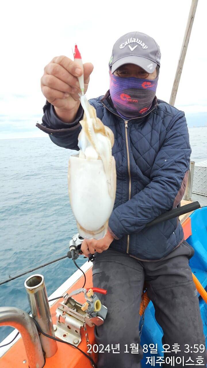제주에이스호8일갑돌이조황입니다문의0103548347201038603472 (조황조행기 - 바다선상조황)