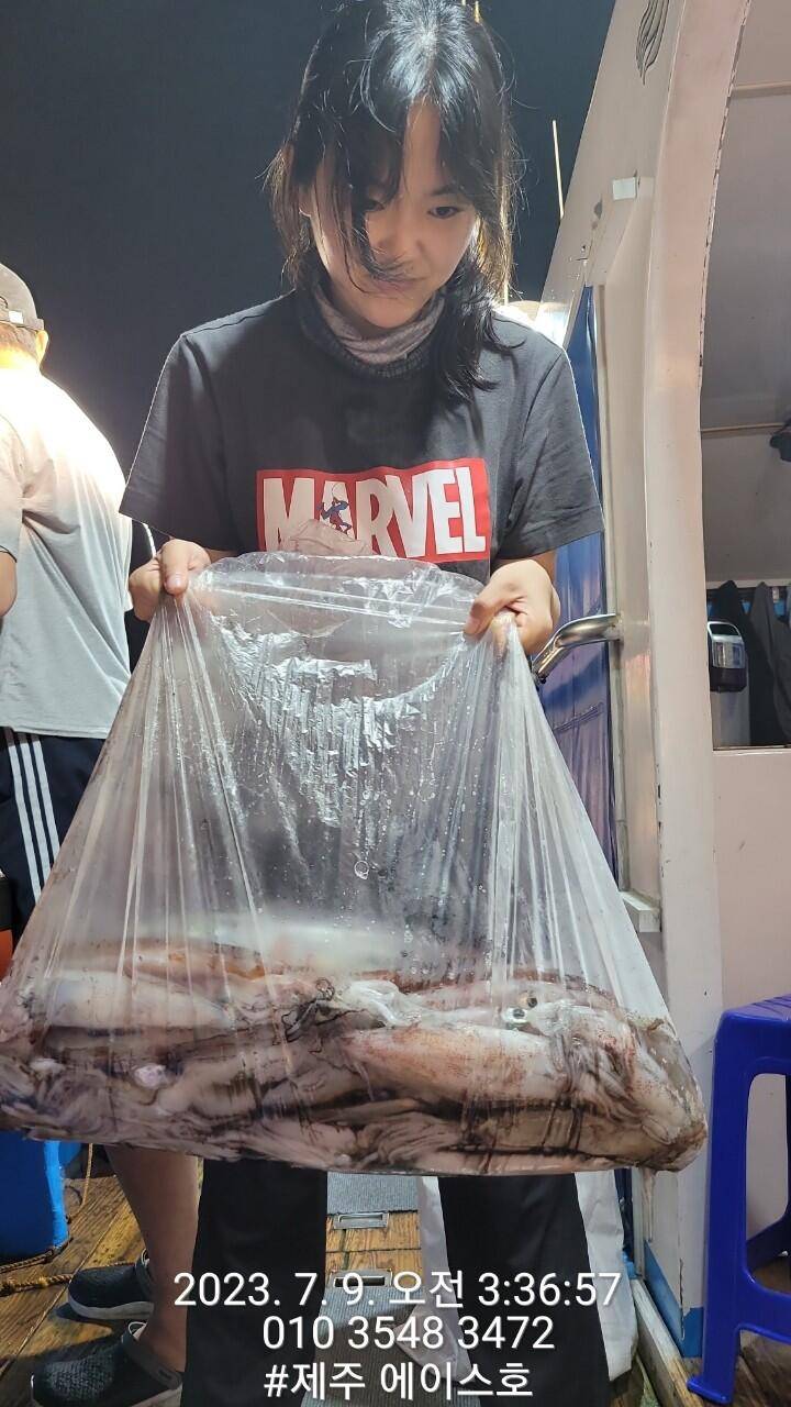 제주에이스호8일한치조황입니다 (조황조행기 - 바다선상조황)