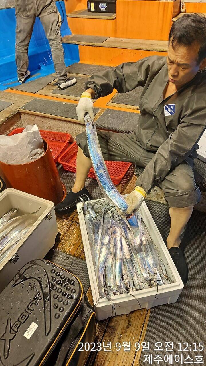 주에이스호8일갈치가 풍년입니다문의01035483472 01038603472 (조황조행기 - 바다선상조황)