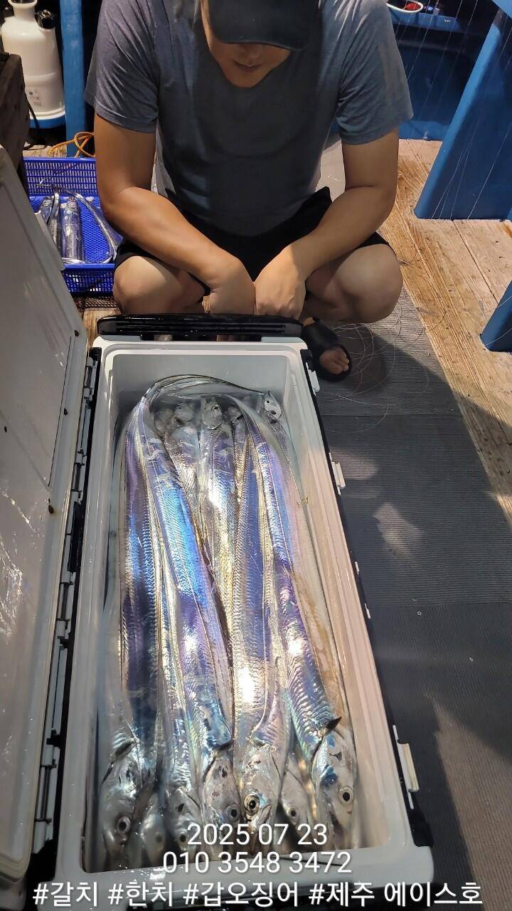 제주에이스호7월2122일북제주권갈치조업조황입니다010 35483472010 3860 3472977톤22인승14석운영 (조황조행기 - 바다선상조황)