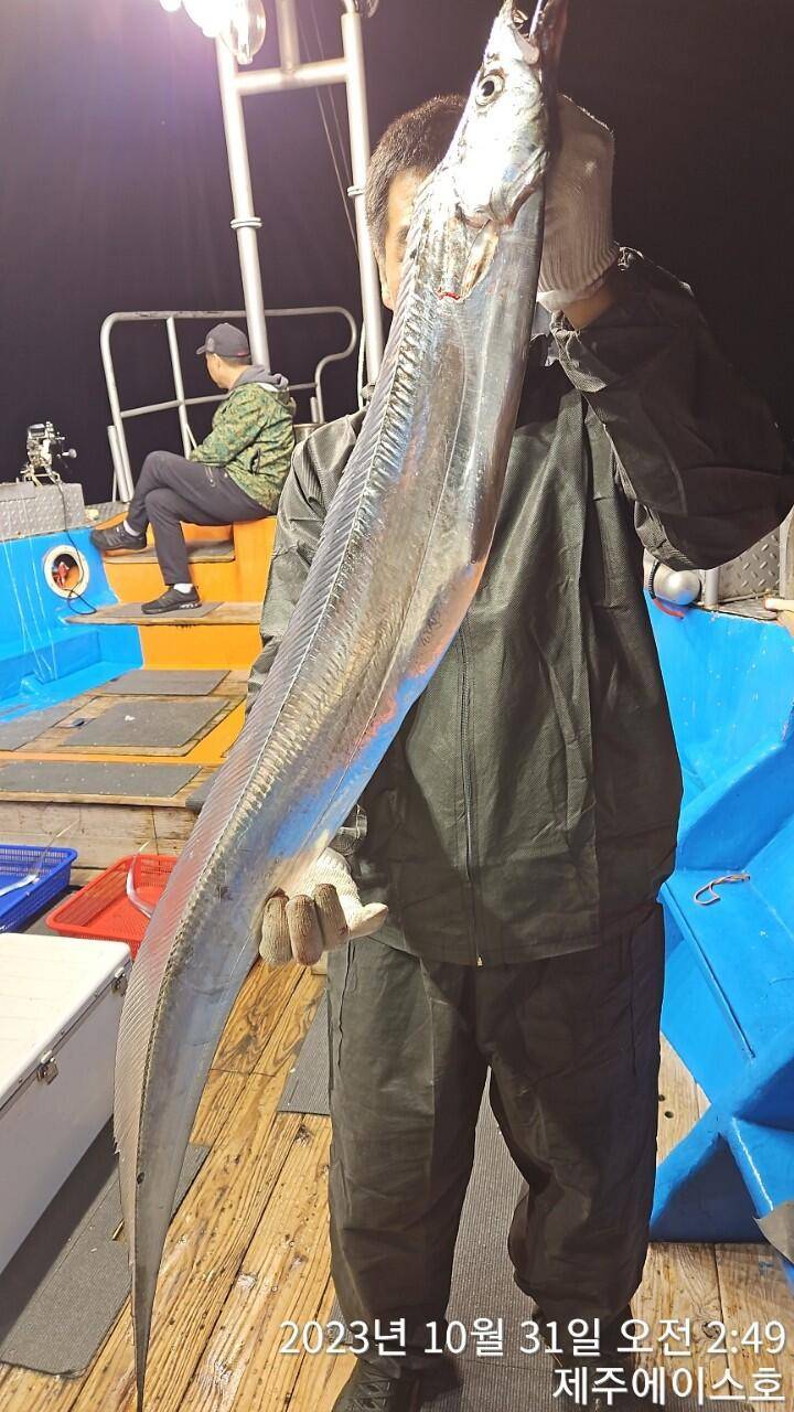 제주에이스호30일대갈치조황입니다문의0103548347201038603472 (조황조행기 - 바다선상조황)
