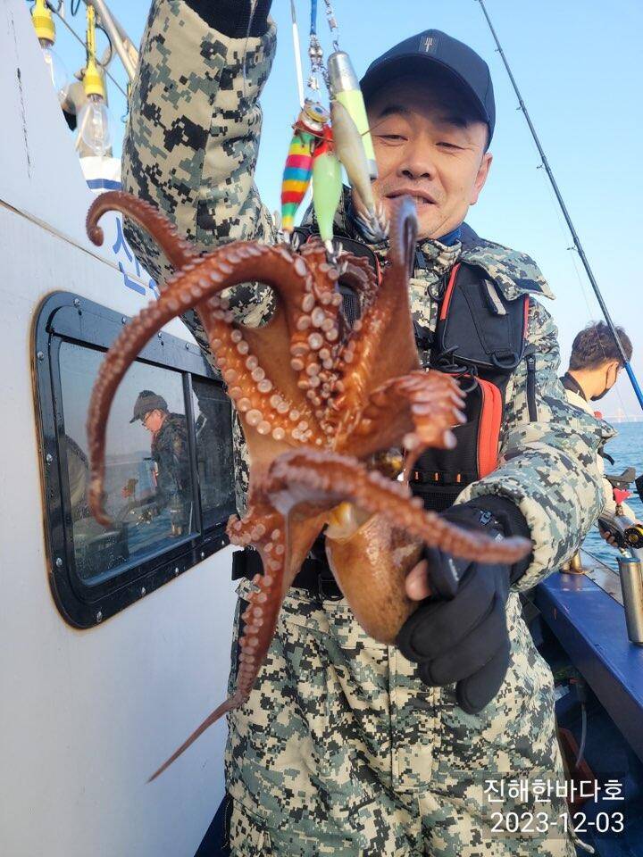 진해문어낚시 손맛 끝내주는 돌문어 초보조우님들께서도 전원 찐한 손맛 보시며 열낚 즐낚 하고왔습니다0 (조황조행기 - 바다선상조황)