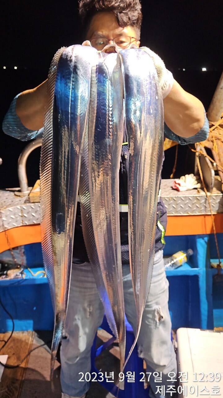 제주에이스호26일갈치조황입니다문의0103548347201038603472 (조황조행기 - 바다선상조황)