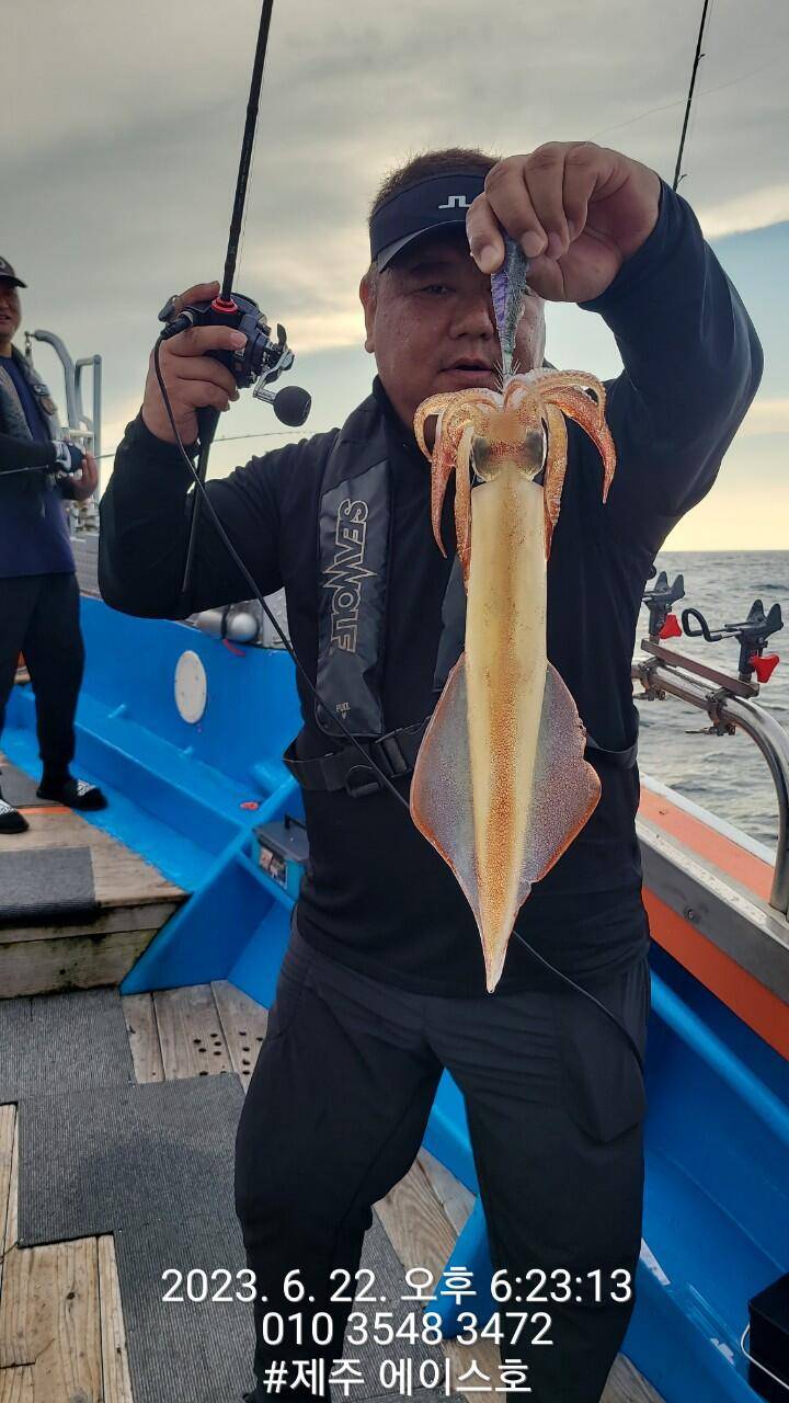 제주에이스호22일 굿 한치 조황입니다 (조황조행기 - 바다선상조황)