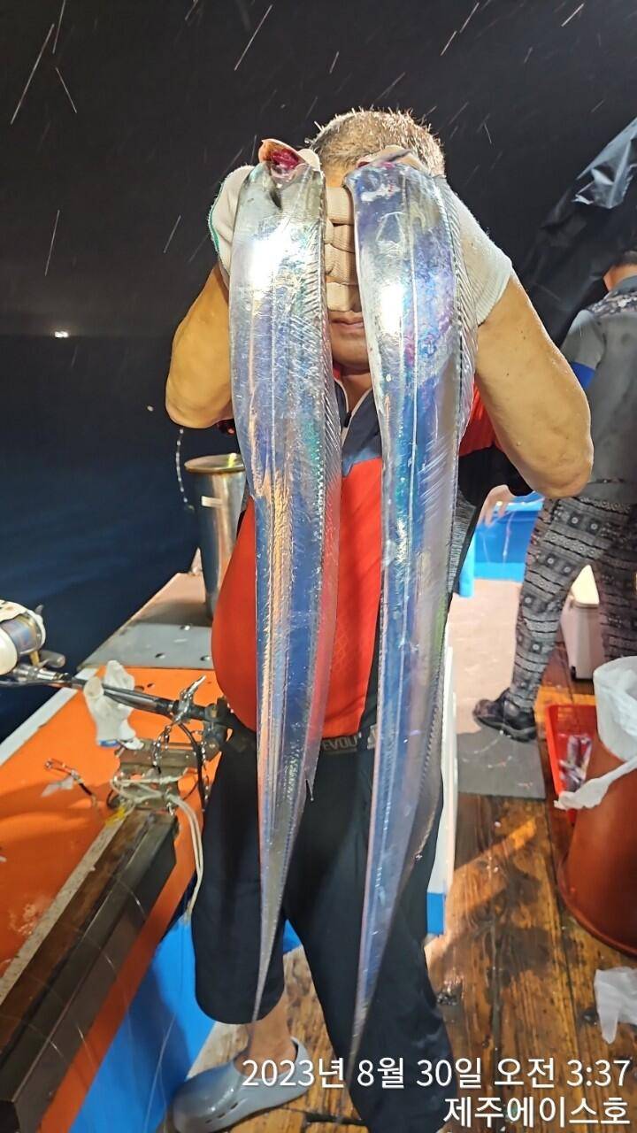 제주에이스호29일갈치조황입니다 문의0103548347201035483472 (조황조행기 - 바다선상조황)