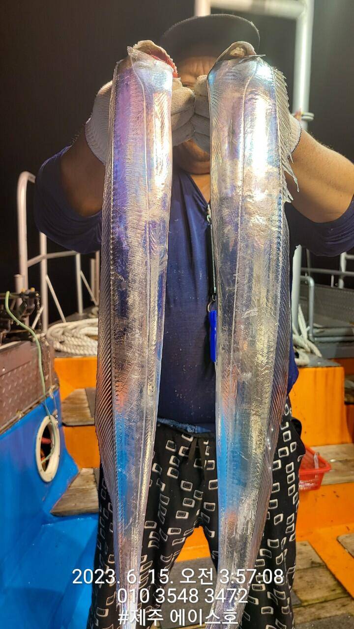 제주에이스호14일대갈치조황입니다전좌석봉돌투승기장착무료이용 (조황조행기 - 바다선상조황)