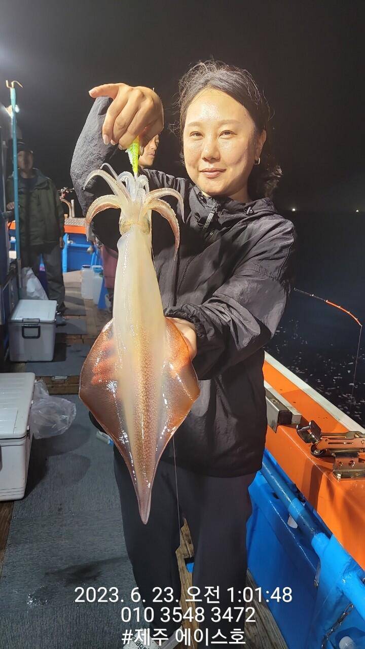 제주에이스호22일 굿 한치 조황입니다 (조황조행기 - 바다선상조황)