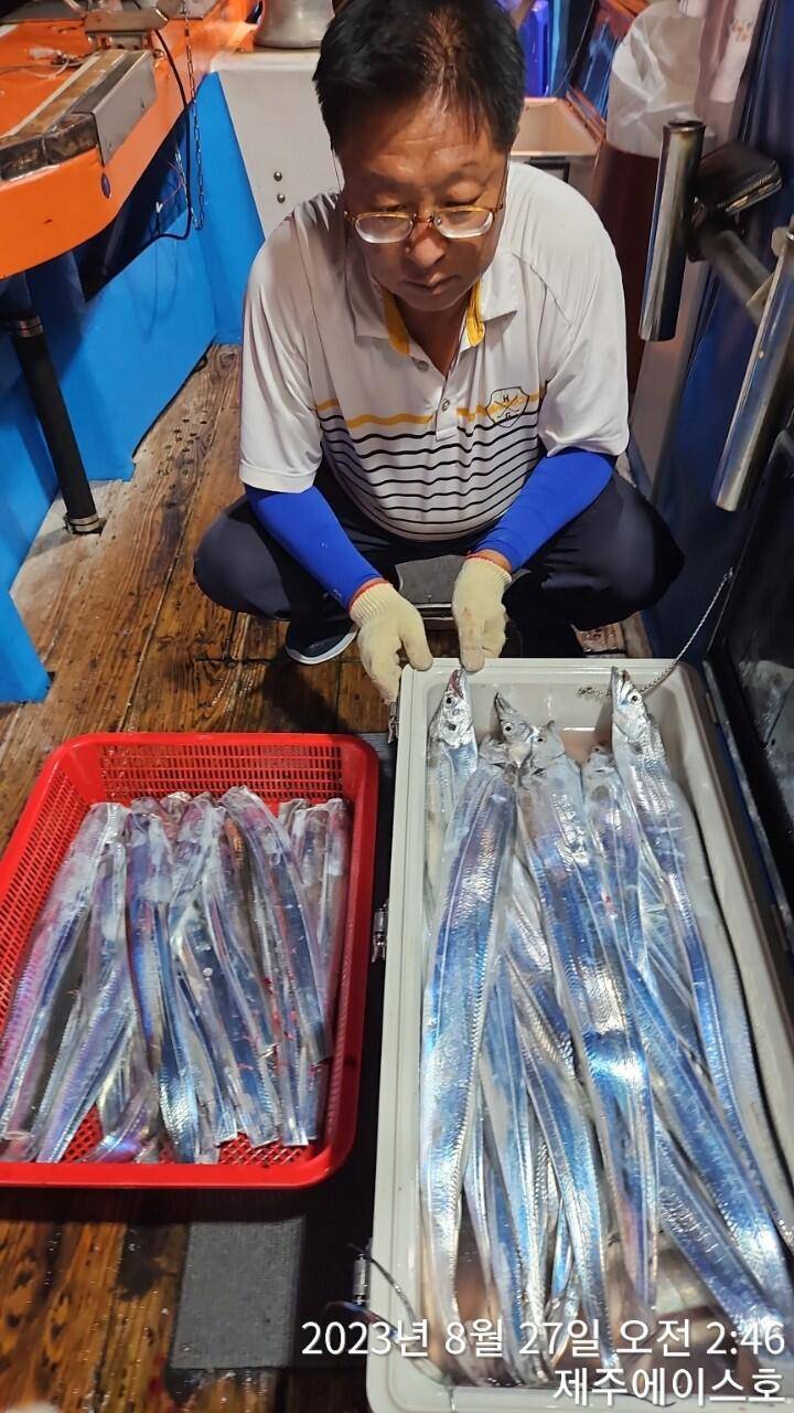 제주에이스호26갈치조황입니다문의0103548347201038603472 (조황조행기 - 바다선상조황)