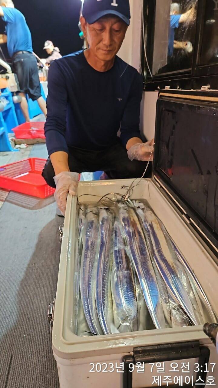 제주에이스호6일쿨러가득갈치조황입니다 문의01035483472 01038603472 (조황조행기 - 바다선상조황)