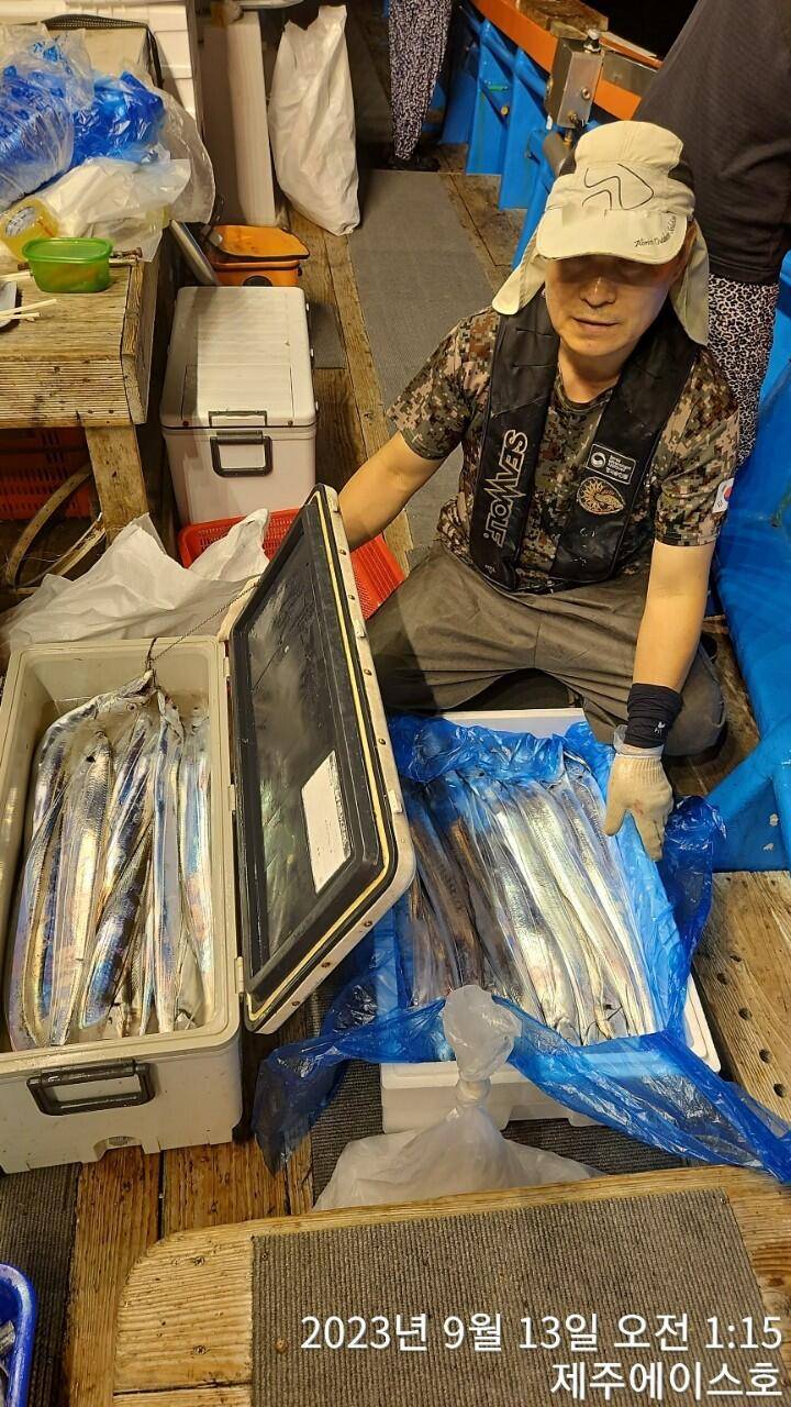 제주에이스호12일씨알굵은갈치조황입니다문의0103548347201038603472전좌석 자동봉돌투승기장착22인승 1… (조황조행기 - 바다선상조황)