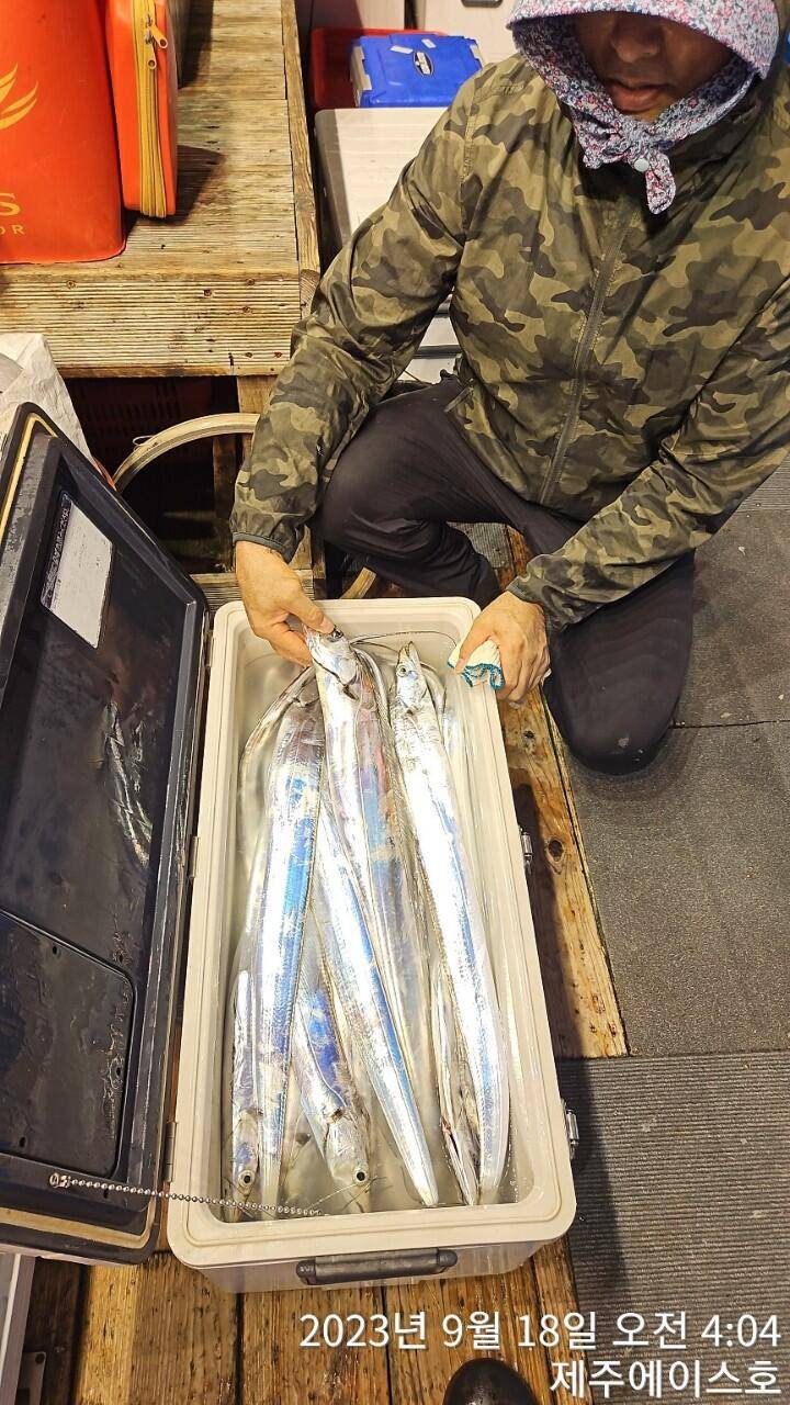 제주에이스호17일쿨러가득갈치조황입니다 문의0103548347201038603472 (조황조행기 - 바다선상조황)