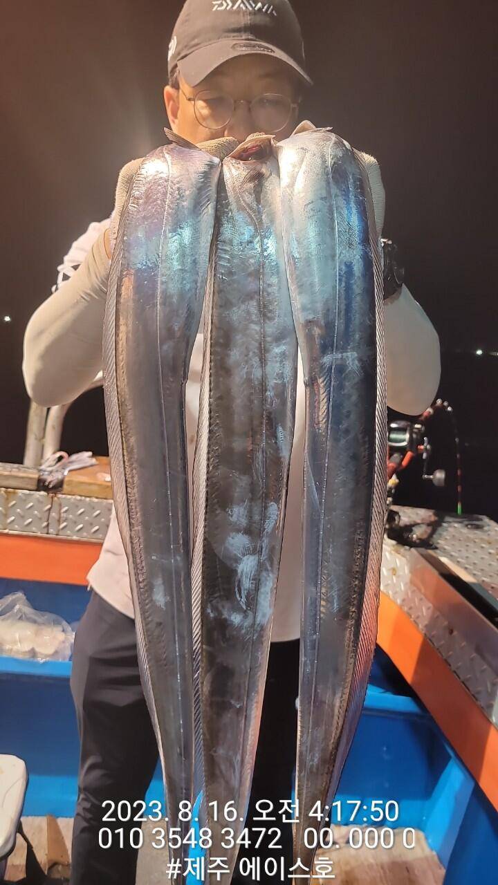 제주에이스호15일갈치조황입니다문의01035483472 전좌석봉돌투승기장착 무료이용12석운영 (조황조행기 - 바다선상조황)