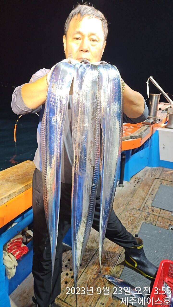 제주에이ㅣ스호22일갈치조황입니다문의0103548347201038603472 (조황조행기 - 바다선상조황)