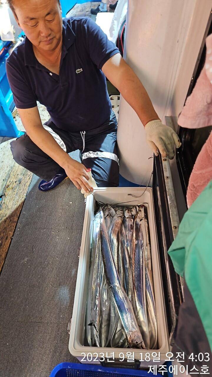 제주에이스호17일쿨러가득갈치조황입니다 문의0103548347201038603472 (조황조행기 - 바다선상조황)