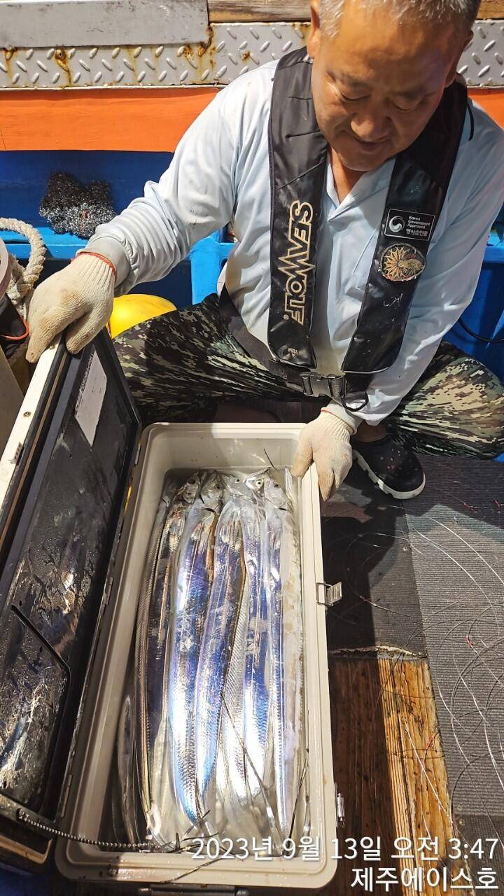 제주에이스호12일씨알굵은갈치조황입니다문의0103548347201038603472전좌석 자동봉돌투승기장착22인승 1… (조황조행기 - 바다선상조황)