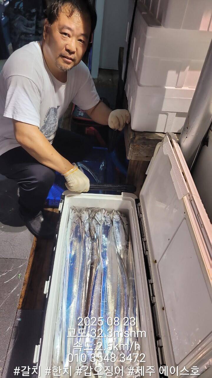 제주에이스호8월22일제주갈치조황입니다010 35483472010 3860 3472977톤22인승12석운전좌석봉돌투등기장착 청결은보장 (조황조행기 - 바다선상조황)