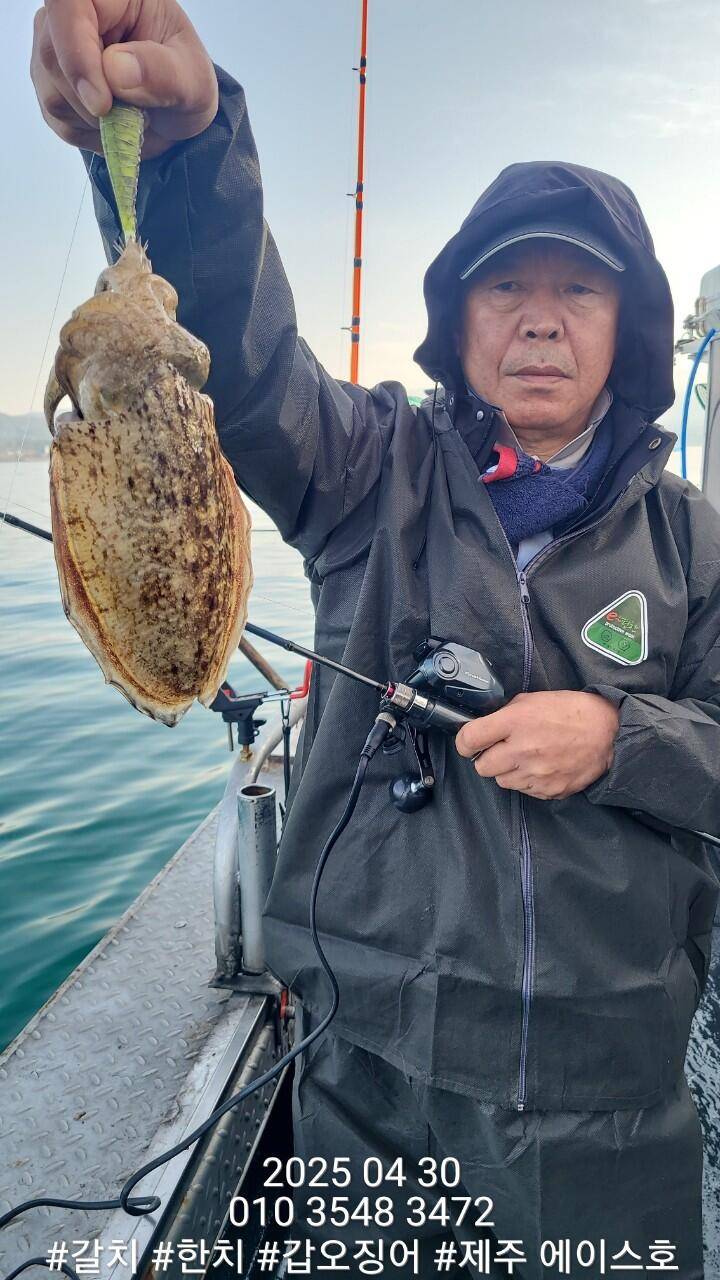 제주에이스호4월30일심해갑오징어조황입니다010 35483472010 3860 3472977톤22인승16석운영 (조황조행기 - 바다선상조황)