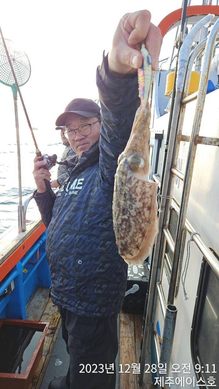 제주에이스호28갑돌이 조황입니다 문의 0103548347201038603472 (조황조행기 - 바다선상조황)