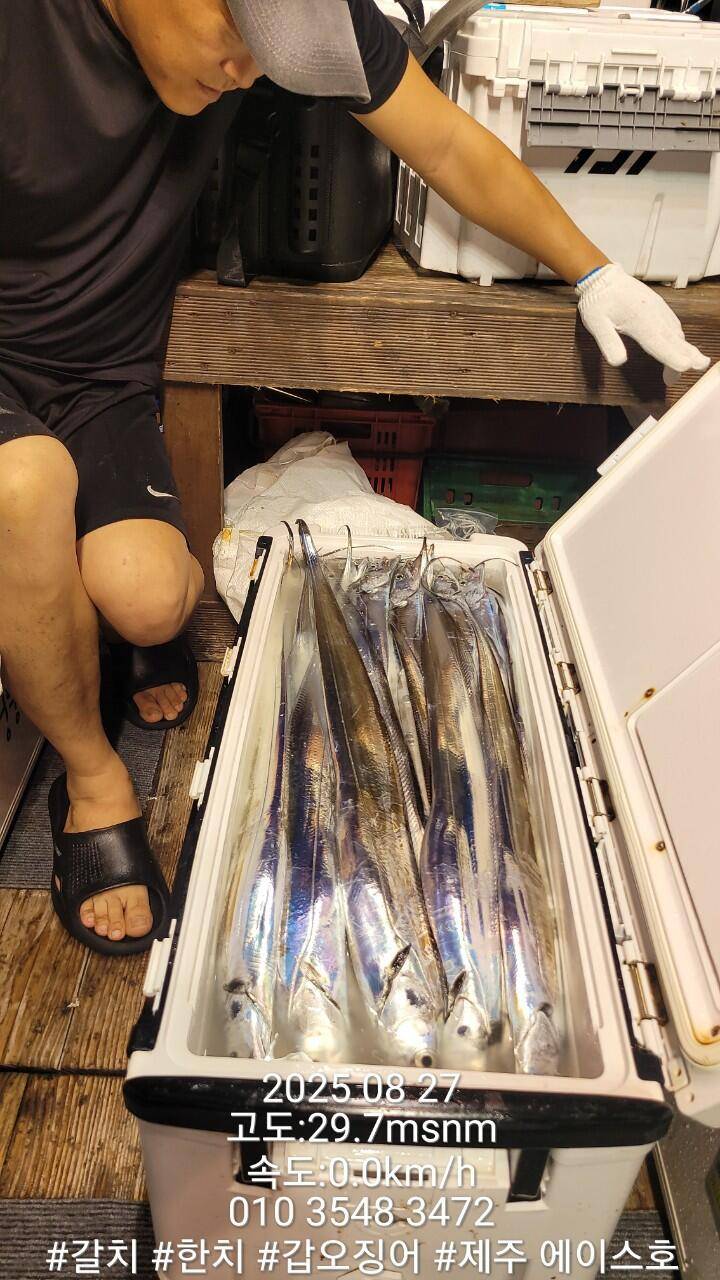 제주에이스호8월26일제주갈치조황입니다010 35483472010 3860 3472977톤22인승12석운전좌석봉돌투등기장착 청결은보장 (조황조행기 - 바다선상조황)