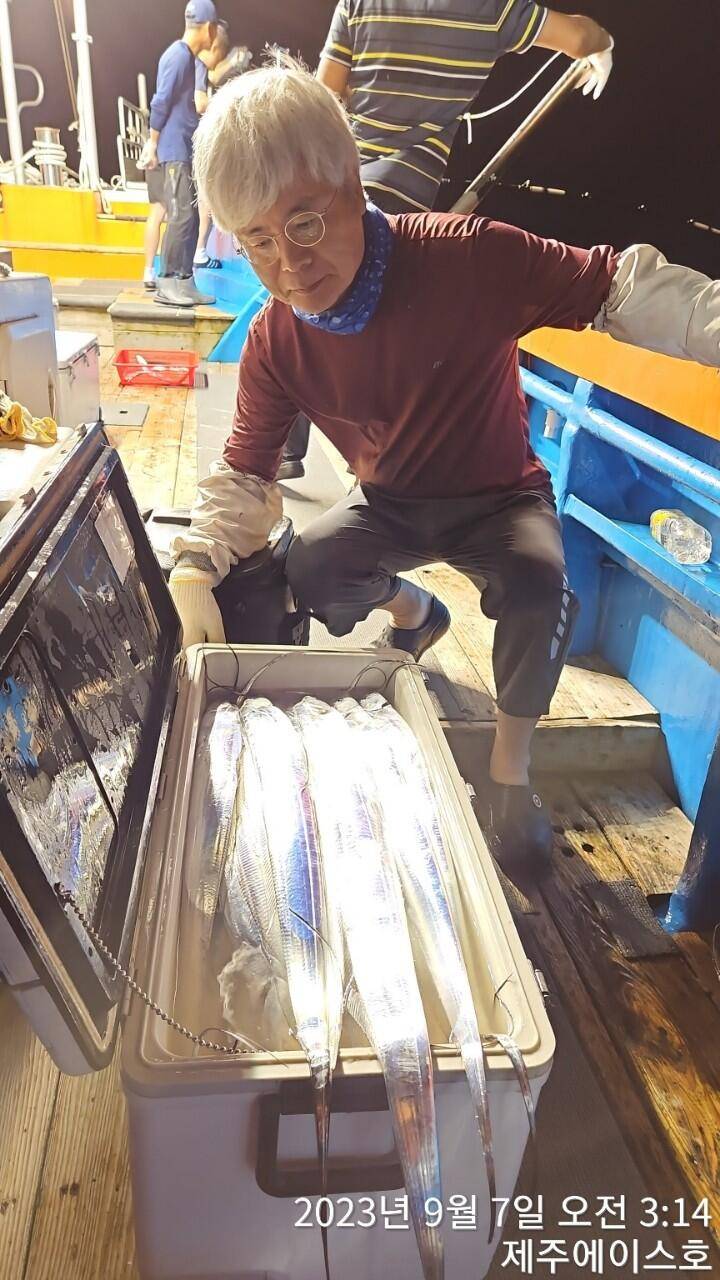 제주에이스호6일쿨러가득갈치조황입니다 문의01035483472 01038603472 (조황조행기 - 바다선상조황)