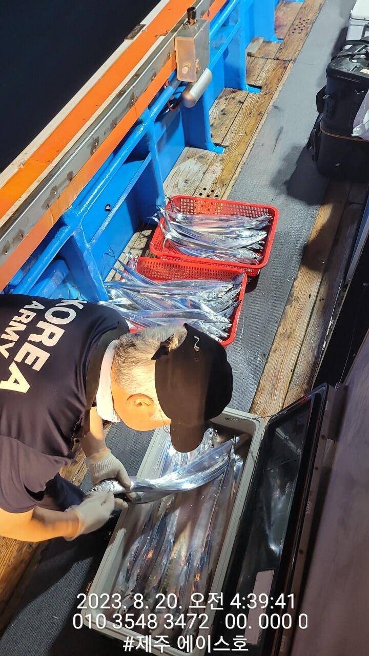 제주에이스호19일갈치조황입니다 전좌석봉돌투승기장착무료이용 문의01035483472 (조황조행기 - 바다선상조황)