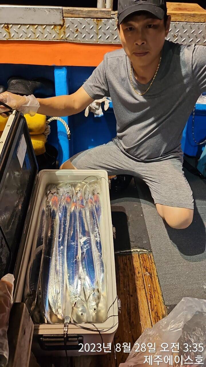 제주에이스호27일갈치조황입니다문의 0103548347201038603472 (조황조행기 - 바다선상조황)