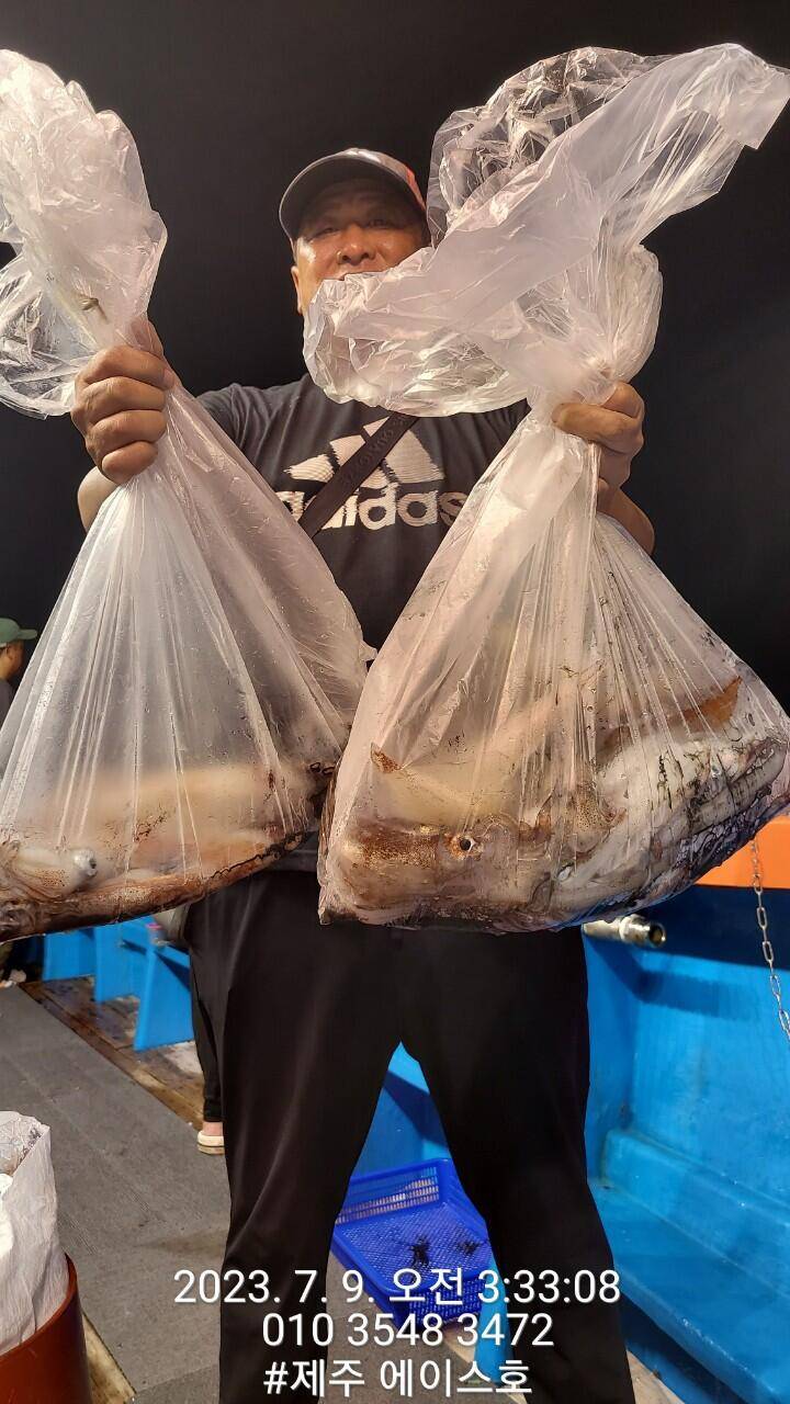 제주에이스호8일한치조황입니다 (조황조행기 - 바다선상조황)