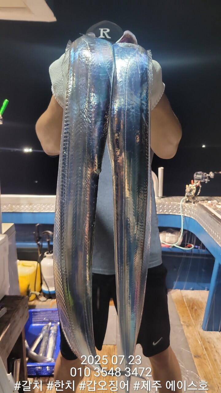 제주에이스호7월2122일북제주권갈치조업조황입니다010 35483472010 3860 3472977톤22인승14석운영 (조황조행기 - 바다선상조황)
