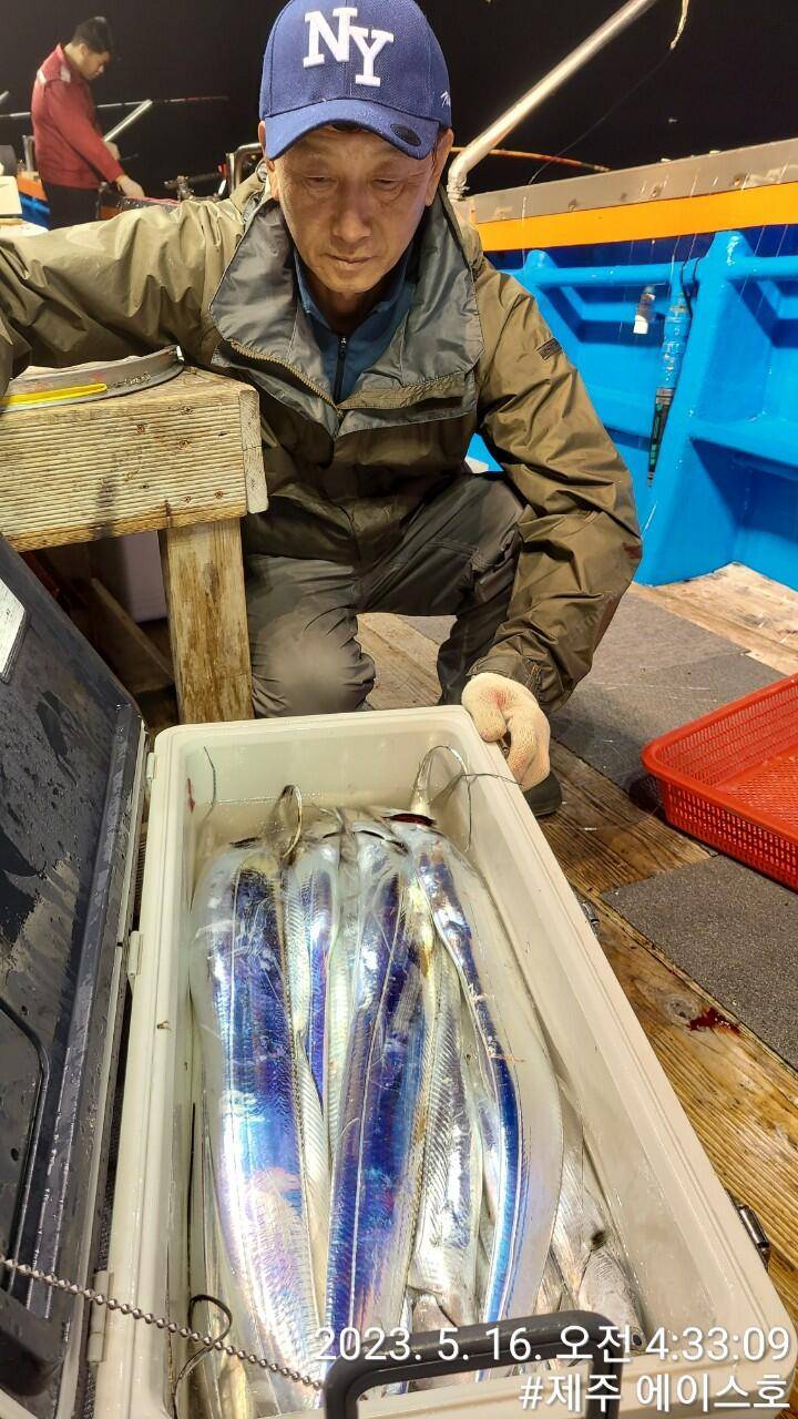 제주에이스호15일대갈치조황입니다문의010 3548 3472 01038603472 (조황조행기 - 바다선상조황)