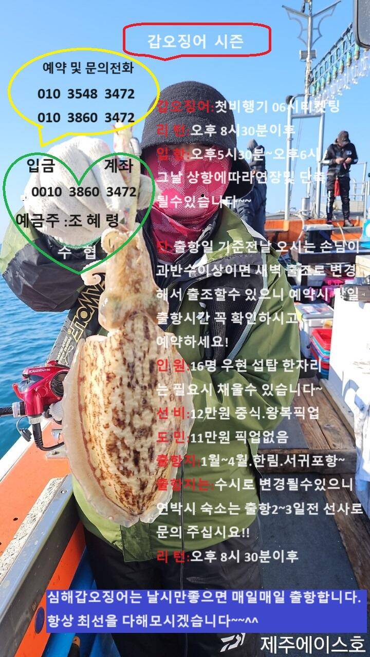 제주에이스호18일갑돌이조황입니다문의010354834720103860347222인승16석운영 (조황조행기 - 바다선상조황)