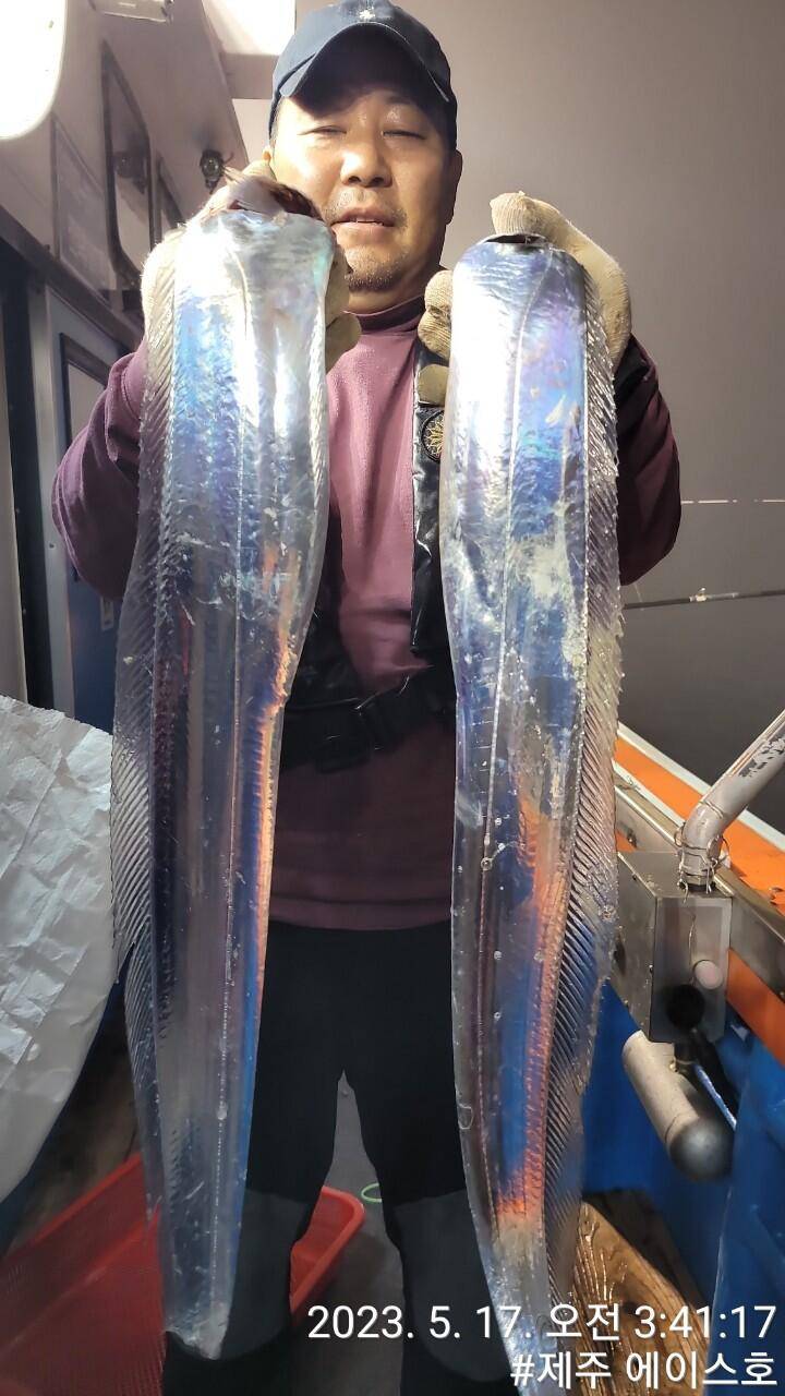 제주에이스호16일대갈치 조황입니다문의0103548347201038603472 (조황조행기 - 바다선상조황)