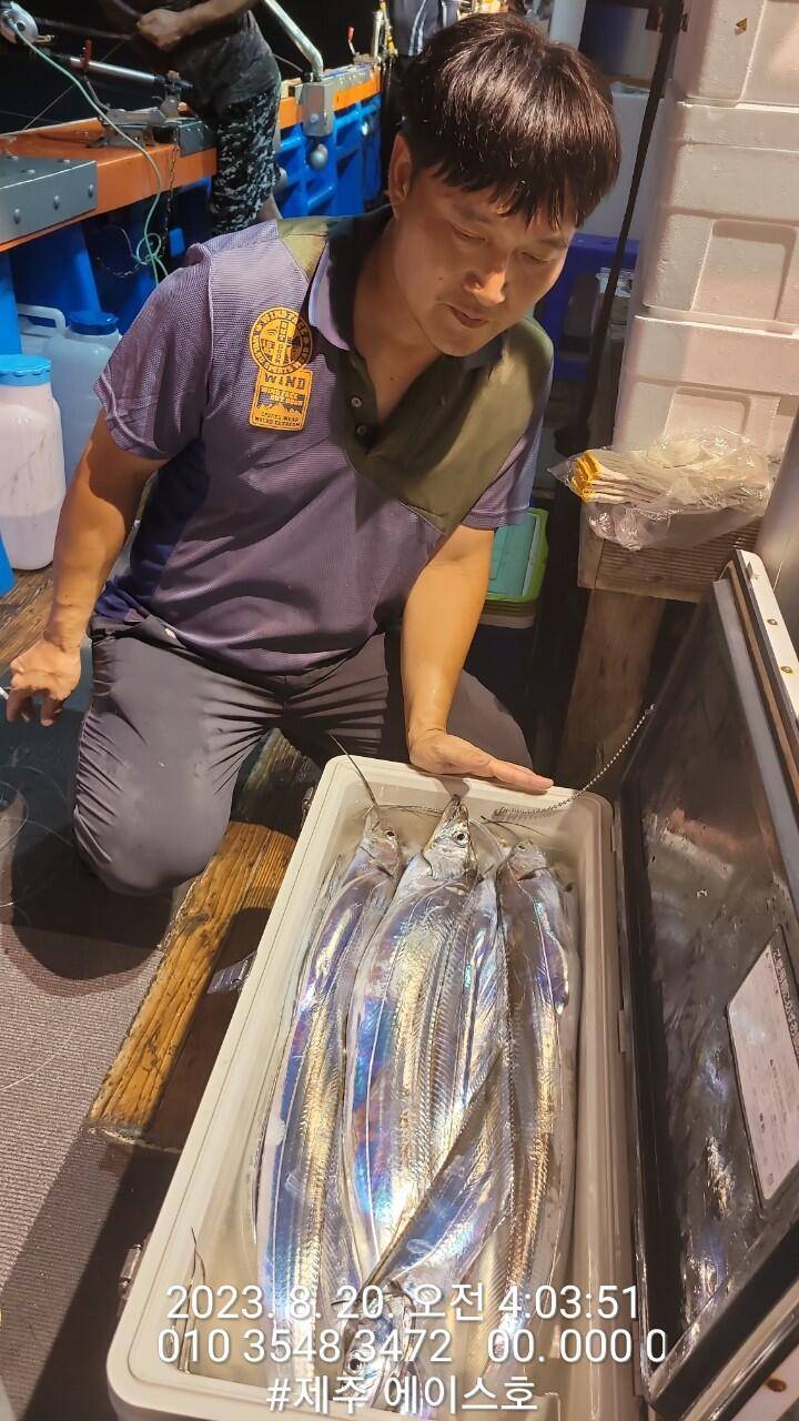 제주에이스호19일갈치조황입니다 전좌석봉돌투승기장착무료이용 문의01035483472 (조황조행기 - 바다선상조황)