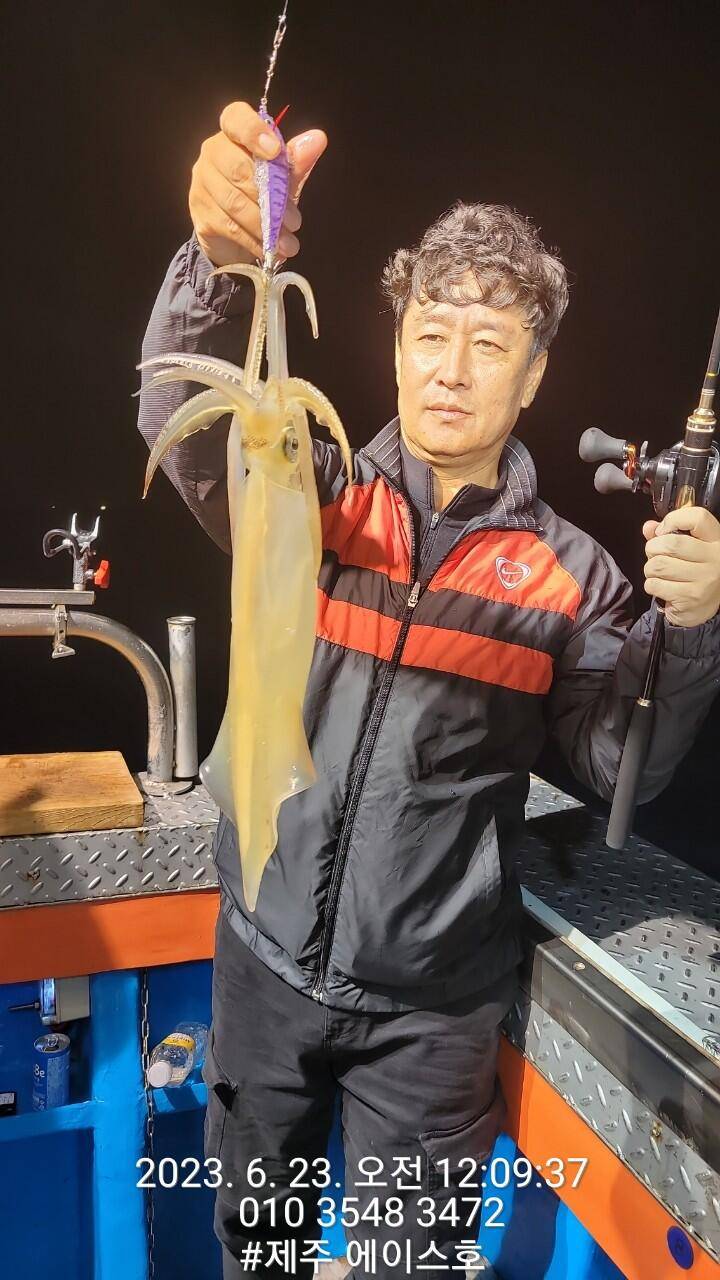 제주에이스호22일 굿 한치 조황입니다 (조황조행기 - 바다선상조황)